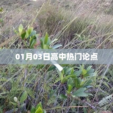 熱門論點解析，高中生關(guān)注焦點熱議日評