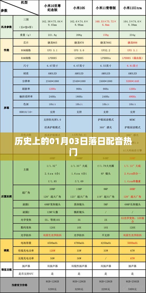 歷史上的經(jīng)典落日配音回顧，一月三日之聲動(dòng)人心弦