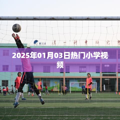 熱門小學視頻一網(wǎng)打盡，2025年1月3日盤點