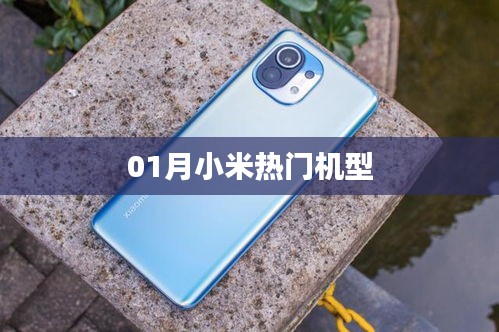 小米熱門機型大盤點，最新熱門機型一網打盡