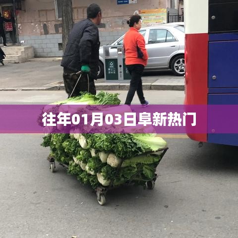 阜新元旦后熱門事件回顧
