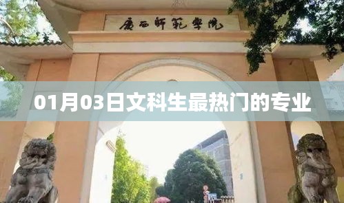 文科生熱門專業(yè)選擇趨勢分析，01月03日數(shù)據(jù)解讀