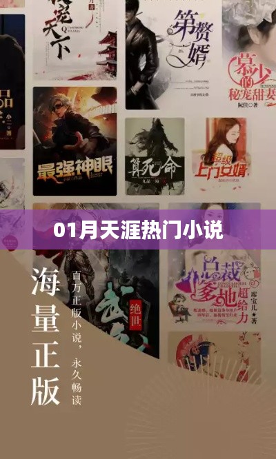 衣無二彩 第2頁