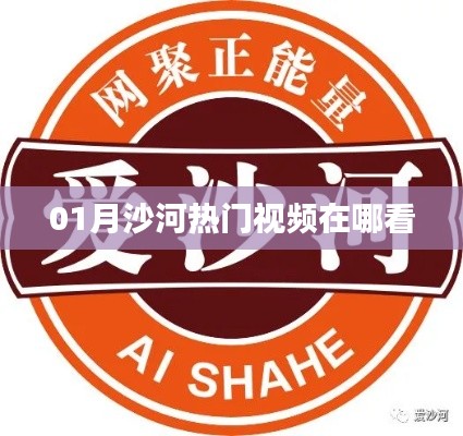沙河熱門視頻一月觀看指南