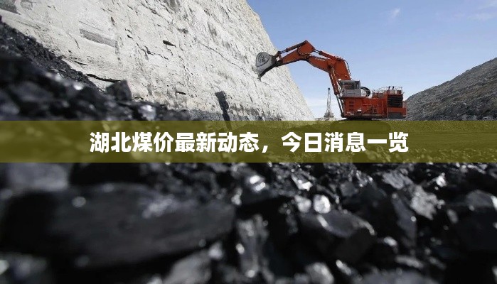 湖北煤價(jià)最新動(dòng)態(tài)，今日消息一覽