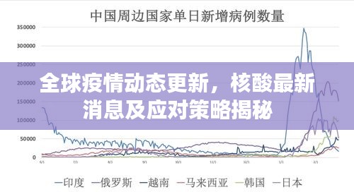 全球疫情動態(tài)更新，核酸最新消息及應對策略揭秘