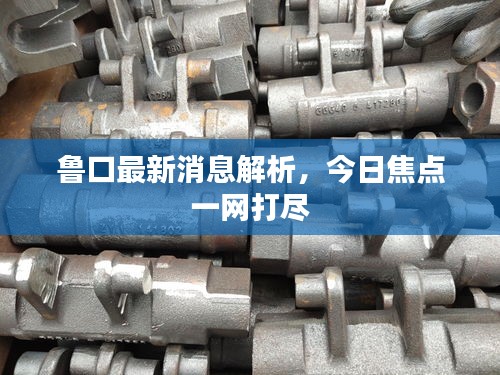 魯口最新消息解析，今日焦點一網(wǎng)打盡