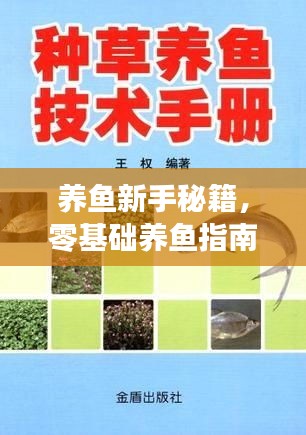 養(yǎng)魚(yú)新手秘籍，零基礎(chǔ)養(yǎng)魚(yú)指南（最新版）