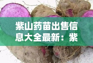 繼晷焚膏 第3頁(yè)