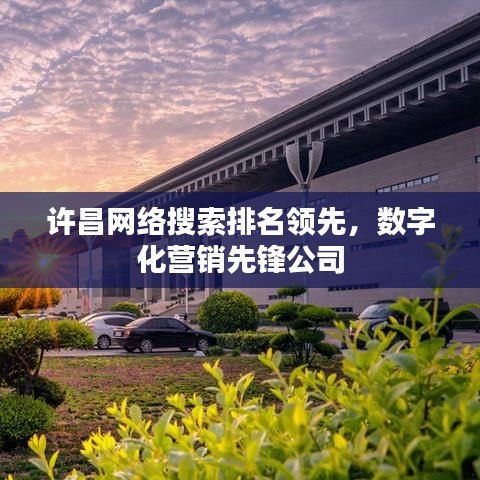 許昌網(wǎng)絡(luò)搜索排名領(lǐng)先，數(shù)字化營銷先鋒公司