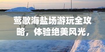 鶯歌海鹽場游玩全攻略，體驗絕美風光，盡享海濱度假！