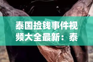 泰國撿錢事件視頻大全最新：泰國撿貝殼是犯法的嗎 