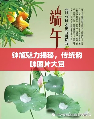 鐘馗魅力揭秘，傳統(tǒng)韻味圖片大賞