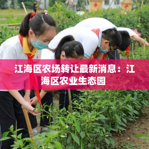 江海區(qū)農(nóng)場轉(zhuǎn)讓最新消息：江海區(qū)農(nóng)業(yè)生態(tài)園 