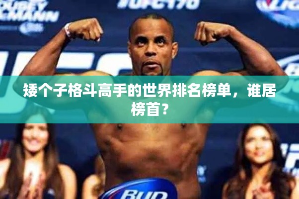 矮個子格斗高手的世界排名榜單，誰居榜首？