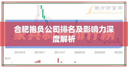 合肥抱負(fù)公司排名及影響力深度解析