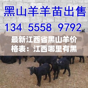 最新江西省黑山羊價格表：江西哪里有黑山羊苗出售 