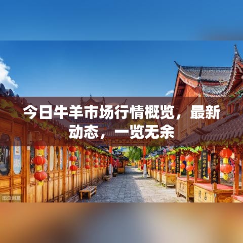 今日牛羊市場(chǎng)行情概覽，最新動(dòng)態(tài)，一覽無余
