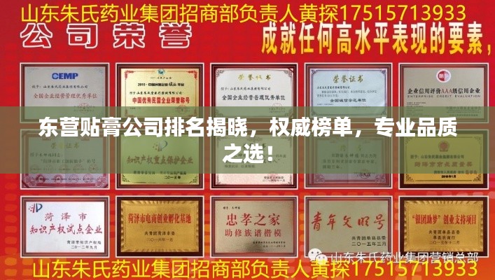 東營貼膏公司排名揭曉，權(quán)威榜單，專業(yè)品質(zhì)之選！
