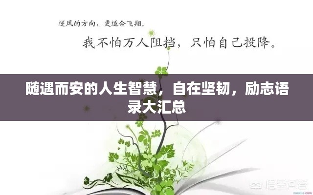 隨遇而安的人生智慧，自在堅(jiān)韌，勵(lì)志語(yǔ)錄大匯總