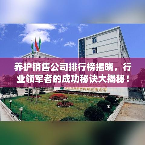 養(yǎng)護銷售公司排行榜揭曉，行業(yè)領(lǐng)軍者的成功秘訣大揭秘！