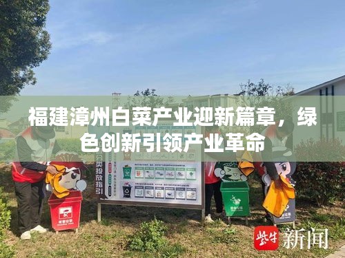 福建漳州白菜產業(yè)迎新篇章，綠色創(chuàng)新引領產業(yè)革命