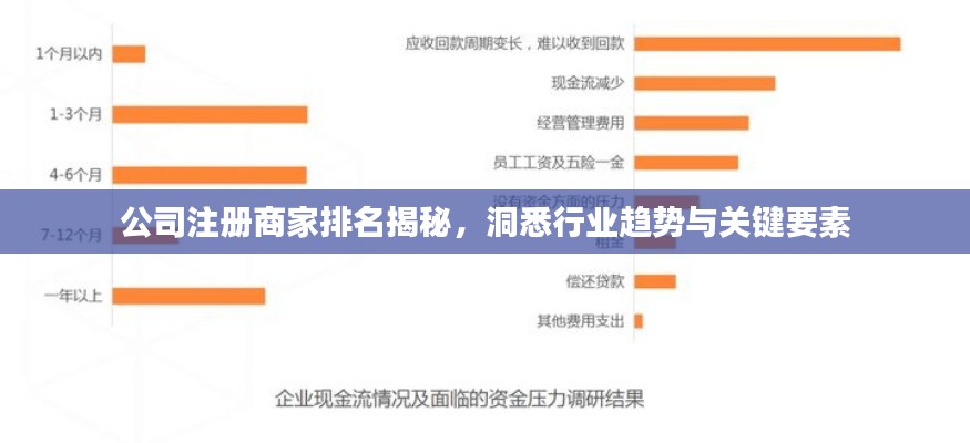 公司注冊商家排名揭秘，洞悉行業(yè)趨勢與關(guān)鍵要素