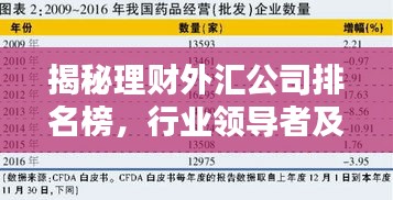 揭秘理財外匯公司排名榜，行業(yè)領(lǐng)導(dǎo)者及其制勝策略！