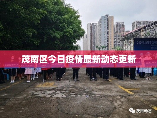 茂南區(qū)今日疫情最新動態(tài)更新