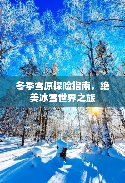 冬季雪原探險(xiǎn)指南，絕美冰雪世界之旅
