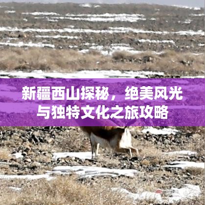 新疆西山探秘，絕美風(fēng)光與獨(dú)特文化之旅攻略