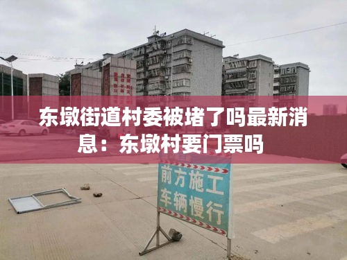 東墩街道村委被堵了嗎最新消息：東墩村要門票嗎 