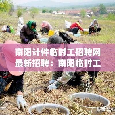 南陽計件臨時工招聘網(wǎng)最新招聘：南陽臨時工日結(jié) 