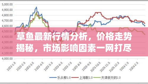 草魚最新行情分析，價(jià)格走勢(shì)揭秘，市場(chǎng)影響因素一網(wǎng)打盡！