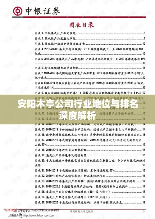 安陽木亭公司行業(yè)地位與排名深度解析