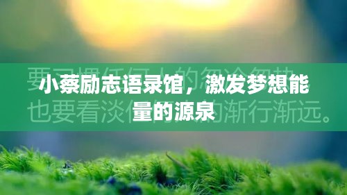 小蔡勵志語錄館，激發(fā)夢想能量的源泉
