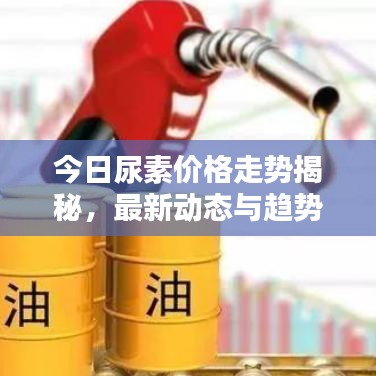 今日尿素價格走勢揭秘，最新動態(tài)與趨勢分析