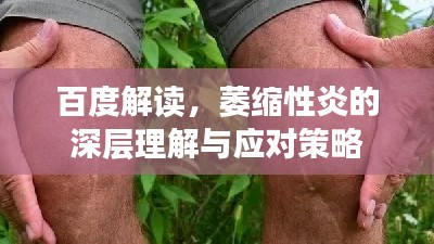 百度解讀，萎縮性炎的深層理解與應(yīng)對(duì)策略