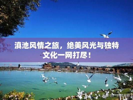 滇池風(fēng)情之旅，絕美風(fēng)光與獨特文化一網(wǎng)打盡！
