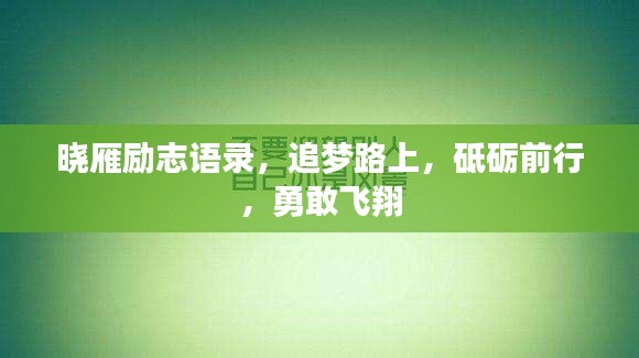 曉雁勵(lì)志語(yǔ)錄，追夢(mèng)路上，砥礪前行，勇敢飛翔