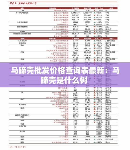 馬蹄殼批發(fā)價(jià)格查詢表最新：馬蹄殼是什么樹 