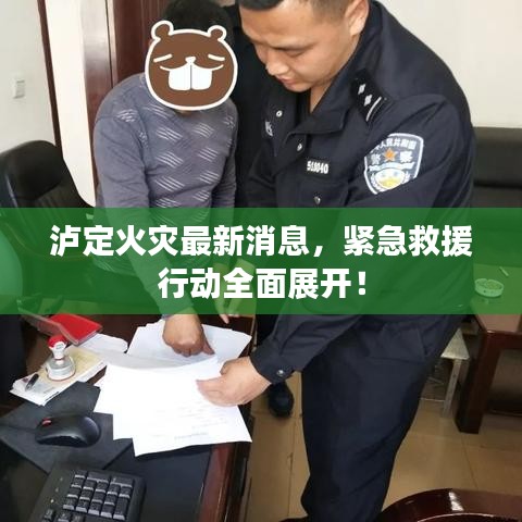 瀘定火災(zāi)最新消息，緊急救援行動(dòng)全面展開！