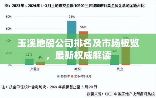 玉溪地磅公司排名及市場(chǎng)概覽，最新權(quán)威解讀