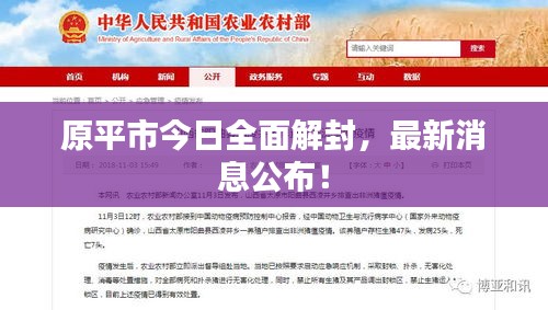 原平市今日全面解封，最新消息公布！