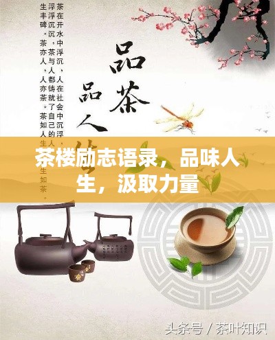 茶樓勵志語錄，品味人生，汲取力量