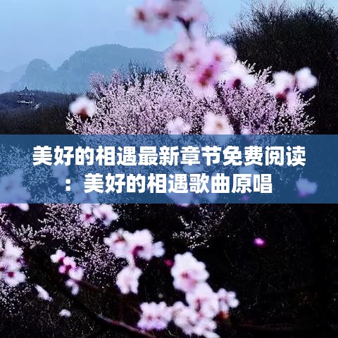 美好的相遇最新章節(jié)免費閱讀：美好的相遇歌曲原唱 