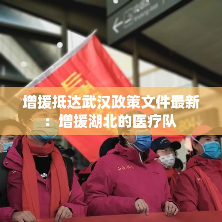 增援抵達(dá)武漢政策文件最新：增援湖北的醫(yī)療隊(duì) 