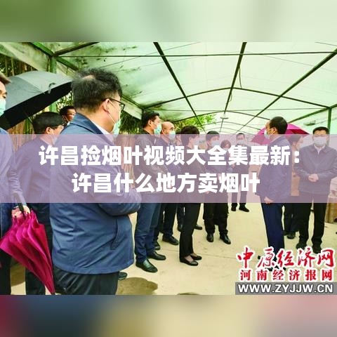 許昌撿煙葉視頻大全集最新：許昌什么地方賣煙葉 