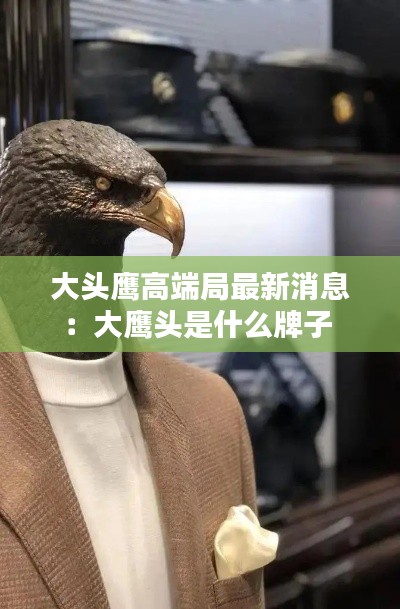 大頭鷹高端局最新消息：大鷹頭是什么牌子 