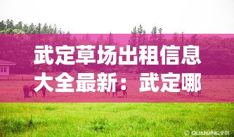 武定草場出租信息大全最新：武定哪里 